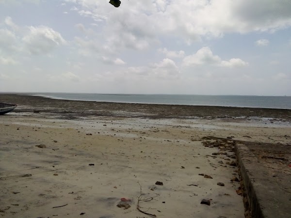 Mafia Island 4