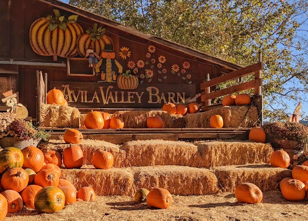 Avila Valley Barn 2