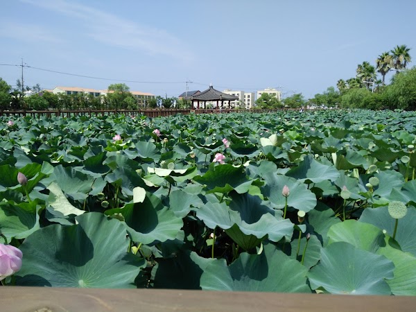 Yeonhwaji