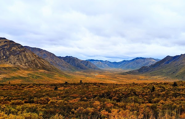 Tombstone Range Viewpoint 5
