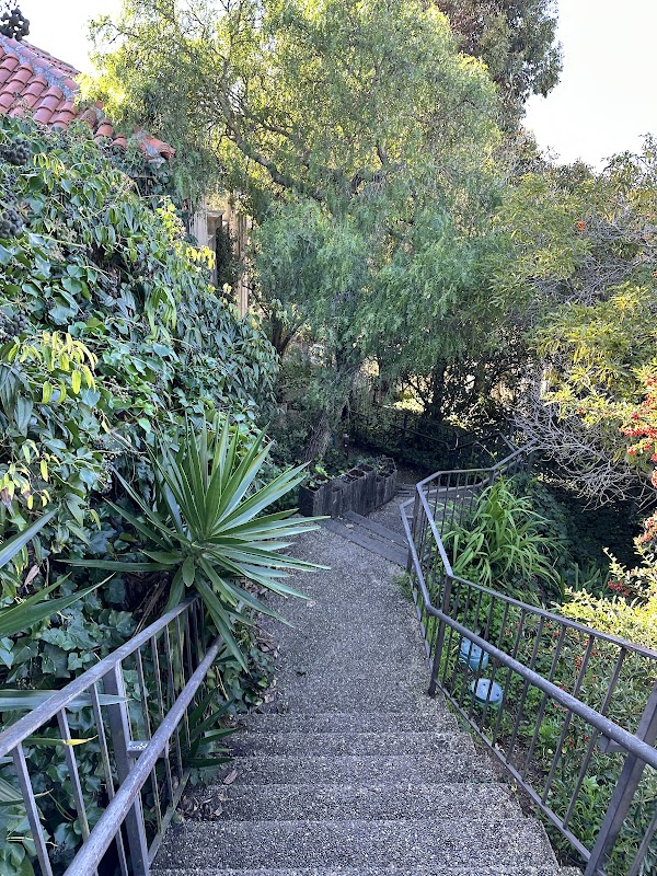 Jack Early Park 2