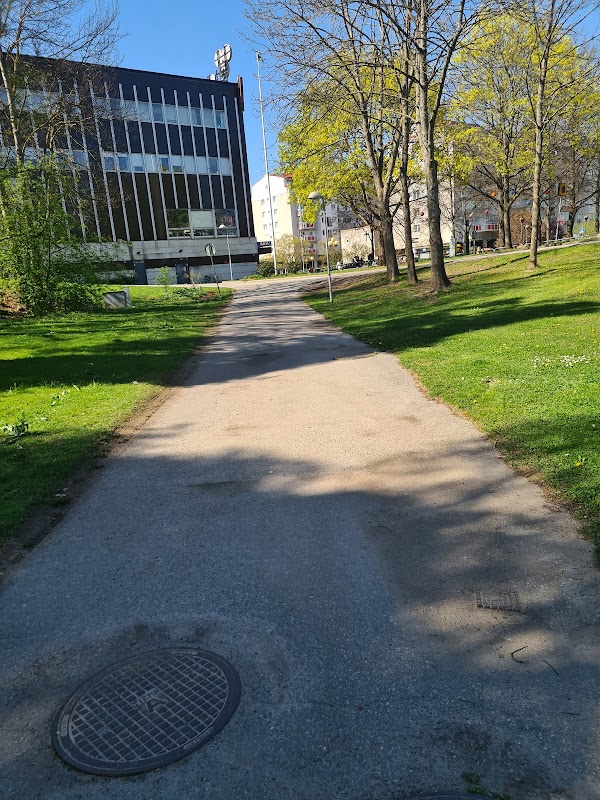 Hallonbergen 1