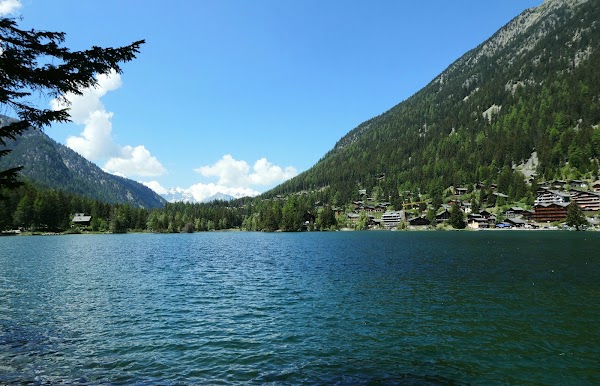 Champex