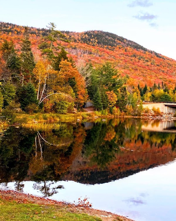 White Mountains 3