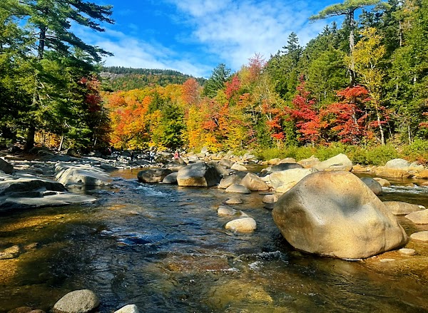 White Mountains 2