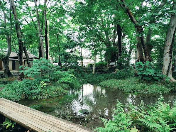 Shirataki Park