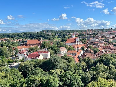 Mount Gediminas Previous