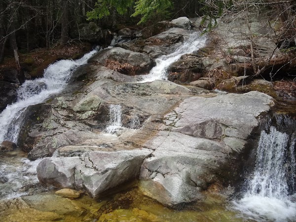 New Hampshire 5