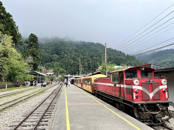 Fen Chi Hu Station 5