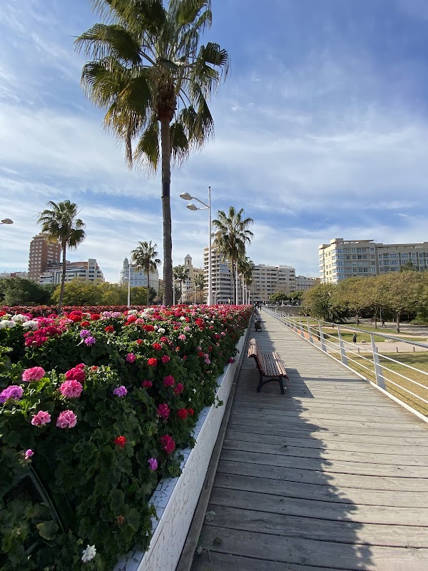 Puente de las Flores 1