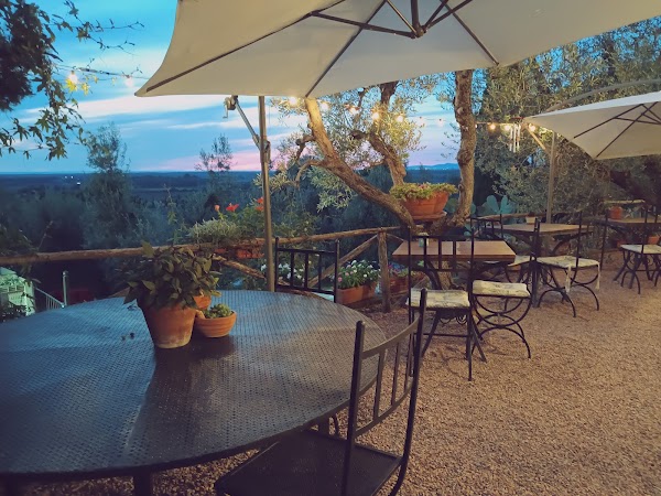 Ristorante Agrituristico Vegetariano La Casa Degli Ulivi 4