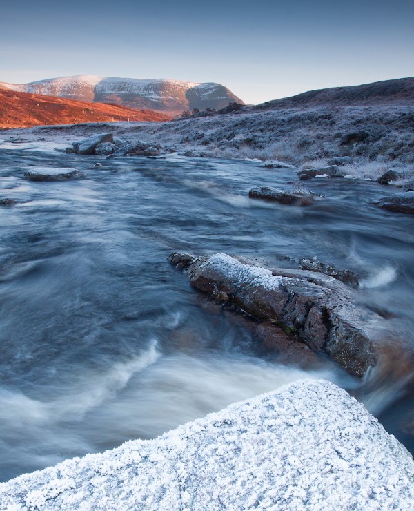 Ben Wyvis National Nature Reserve