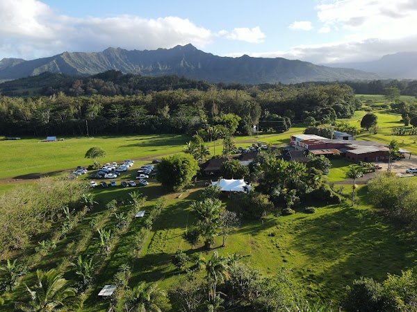 Common Ground Kauai