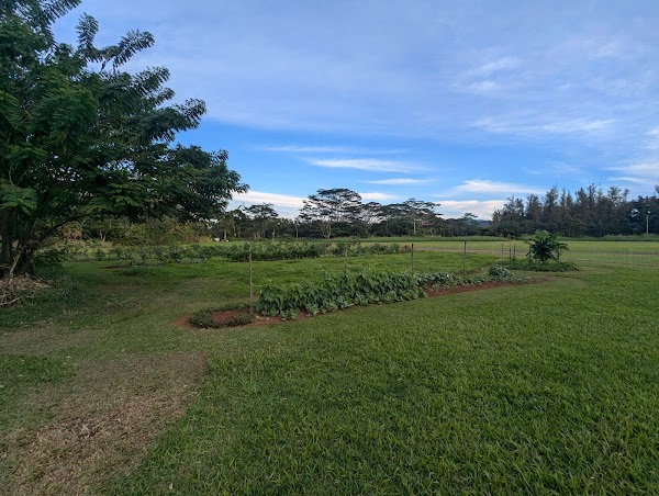 Common Ground Kauai 5
