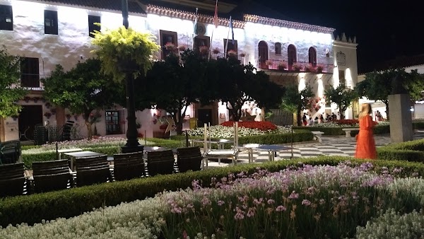 Plaza de los Naranjos 5
