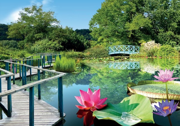 The Water Gardens of Carsac