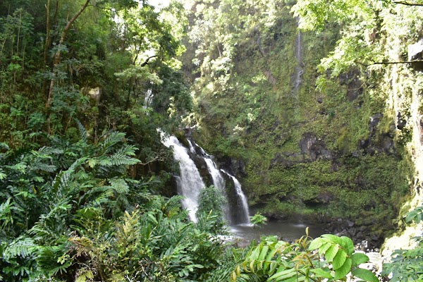 Hawaii 9