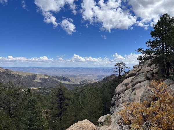 Hualapai Mountain Park, Arizona 1