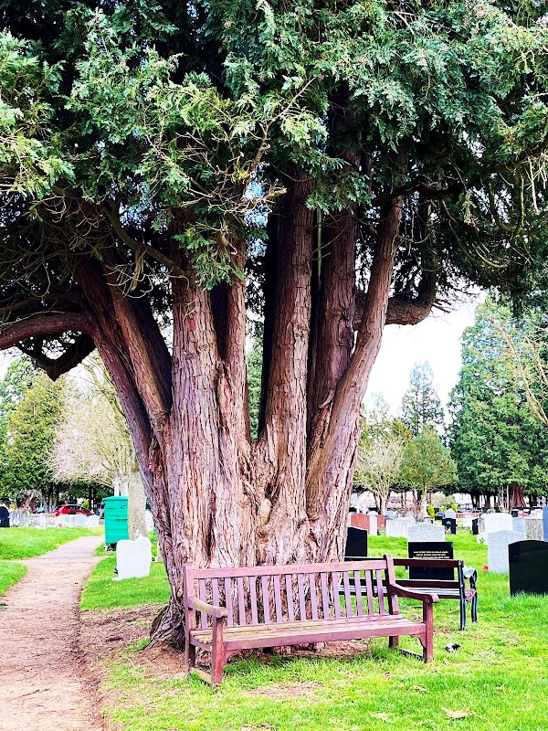 Wolvercote Cemetery 3