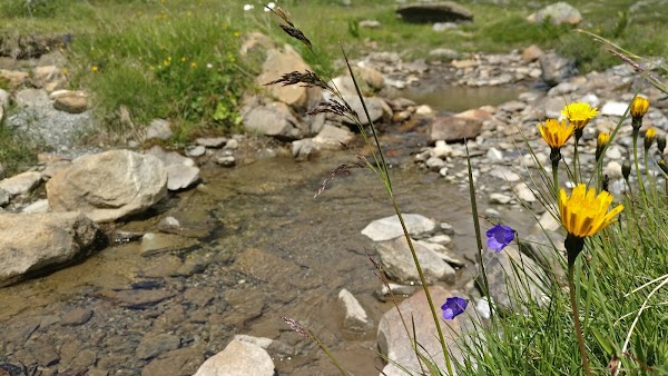 Lac de Fully 4