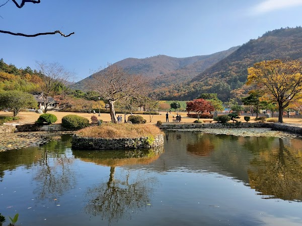 Jindo-gun