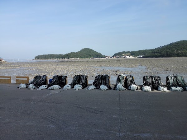 Jindo-gun 2
