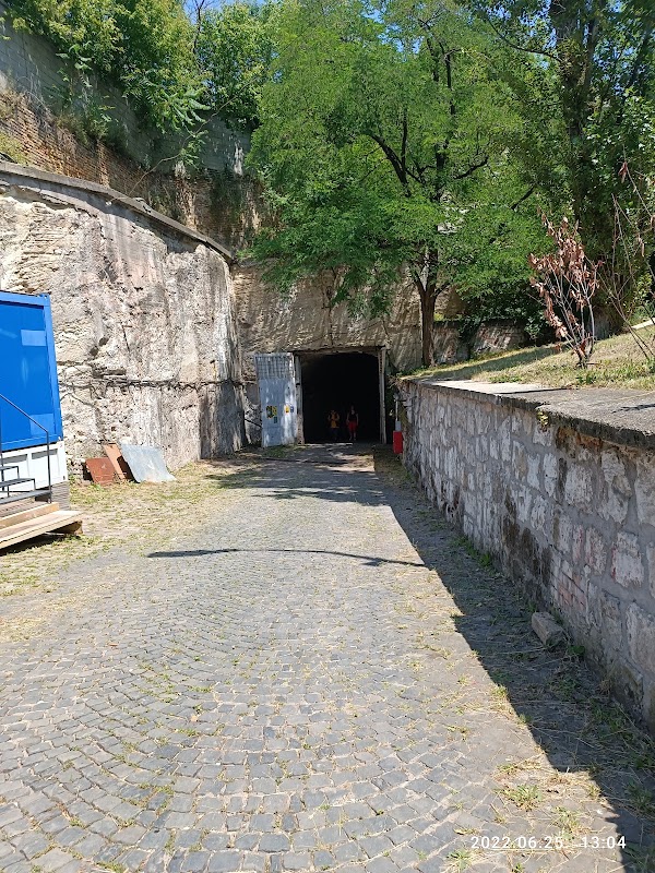 Kőbányai cellar 3