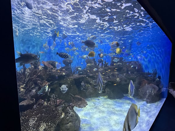 AquaRio 4