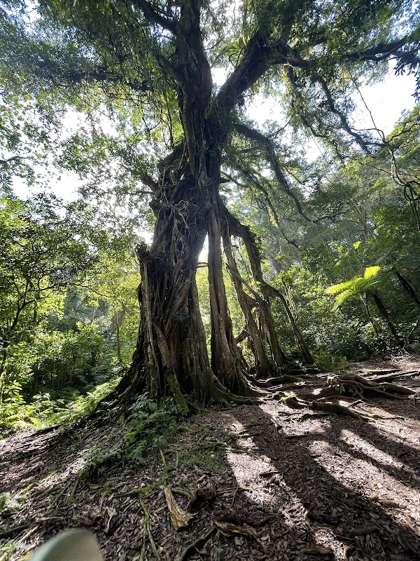 Bali Botanical Garden 2
