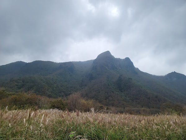 Virgin Forest on Seonginbong Peak