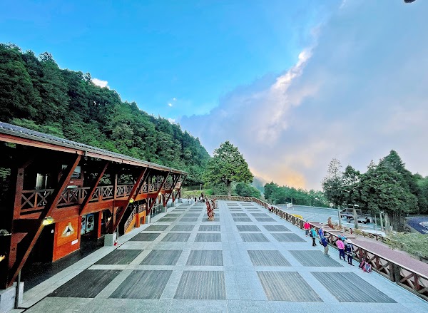 Forest Railway/ Alishan Station 5