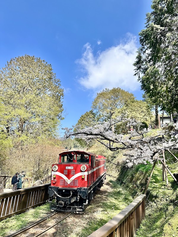 Forest Railway/ Alishan Station 2