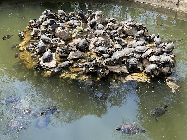 Athens National Garden 2