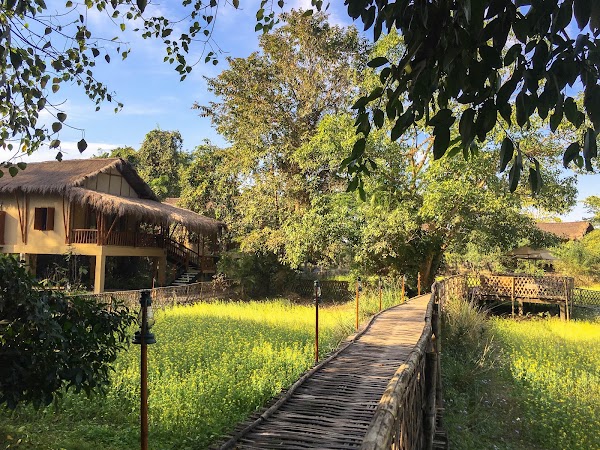 Diphlu River Lodge 3