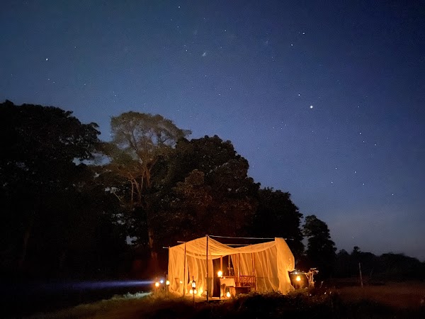 Diphlu River Lodge 2