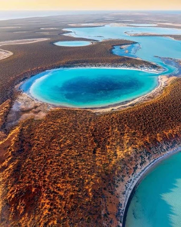 Shark Bay 5