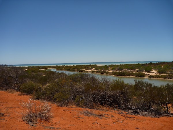 Shark Bay 2