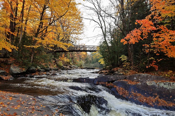 Arrowhead Provincial Park 4