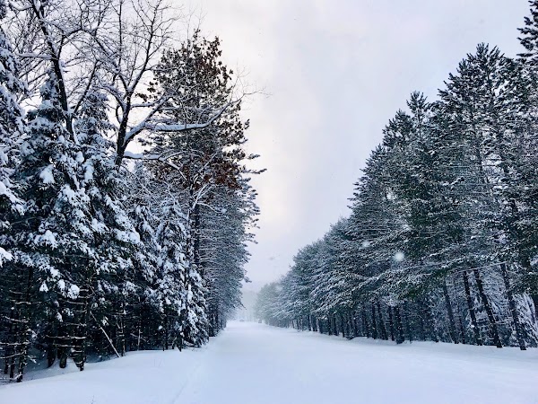 Arrowhead Provincial Park 3
