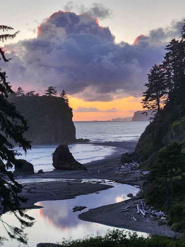 California 33