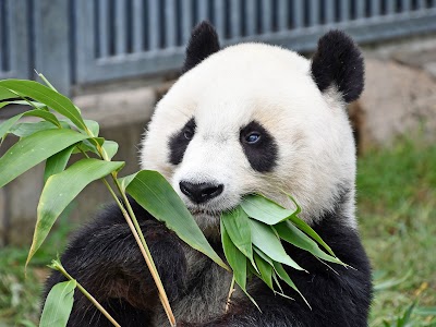 Kobe Ōji Zoo