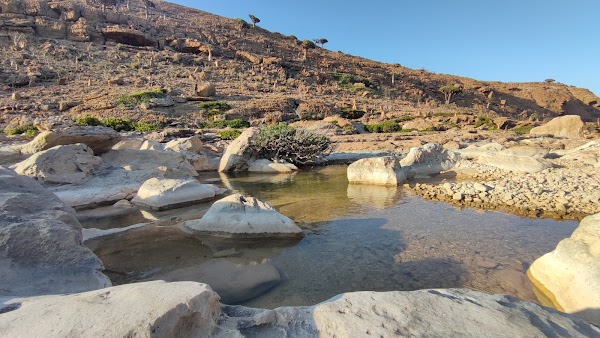 Homhill campsite 3