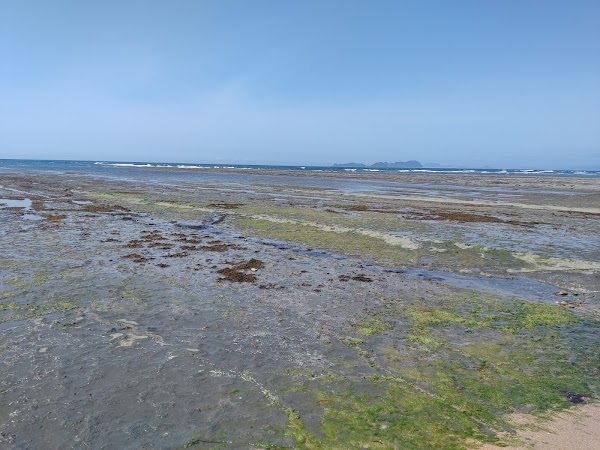 Senjojiki