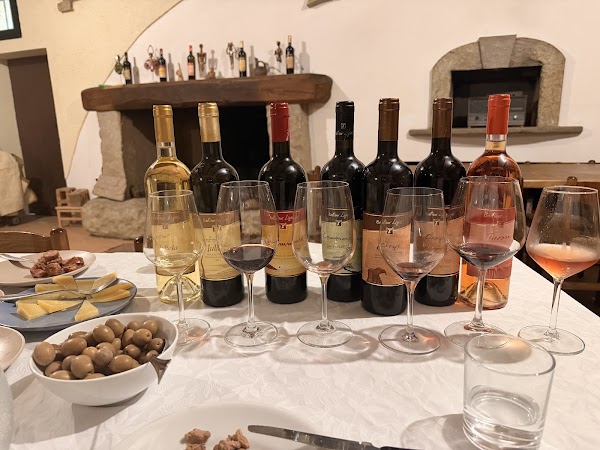 Cantina Ligios - Winery 5