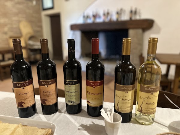 Cantina Ligios - Winery 3