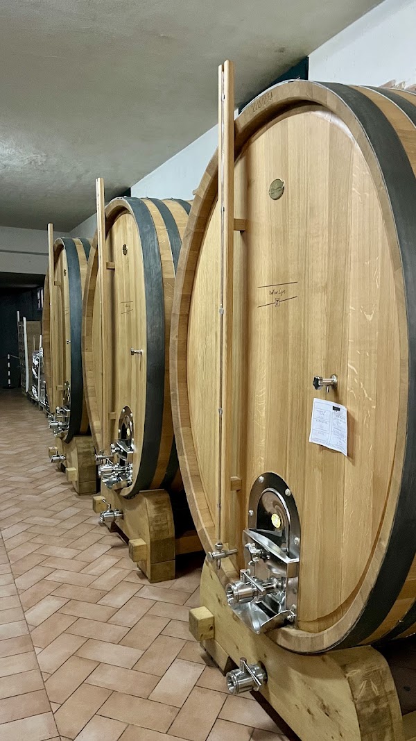 Cantina Ligios - Winery 2