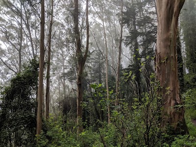 Mount Sutro Open Space Reserve