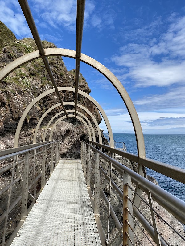 The Gobbins Cliff Path 5