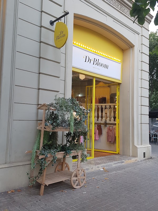 Dr.Bloom 1