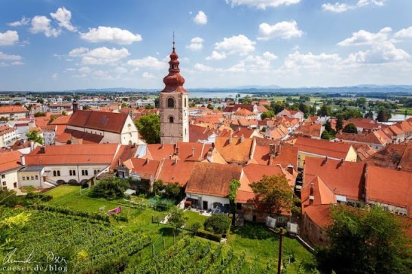 Ptuj 1